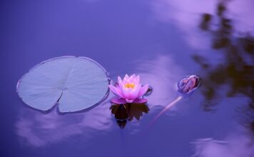 Czy należy się dzień wolny na sprawę w sądzie?