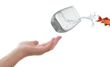 Jak uzyskać dostęp do akt sprawy przez internet?