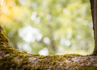 Co obniża zdolność kredytową? Co obniża zdolność kredytową?