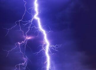 Jaki symbol ma siła? Jaki symbol ma siła?
